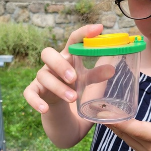 Mitmachlesung mit Johanna Schmidt