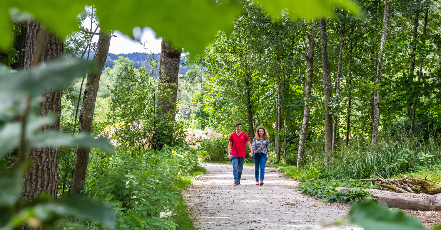 Auf dem Weg ins PAARadies ... / © Bibelwerk Linz Auf dem Weg ins PAARadies ...