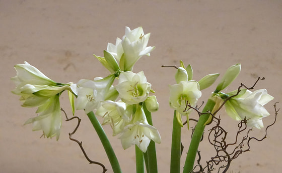 Blumenschmuck im Linzer Mariendom