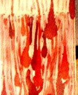 Ch.Mayr-Lumetzberger