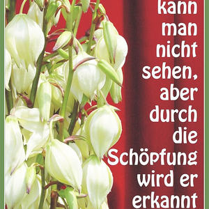Textbilder für den Jahreskreis der Kirche