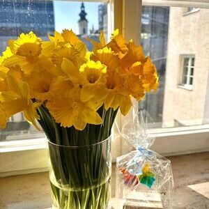 Ausbildungsabschluss-Feier für Bibliothekar:innen