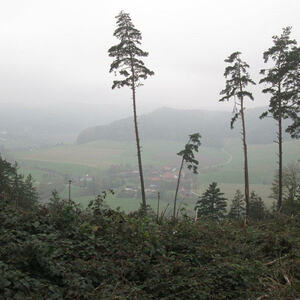 3. Denkmäler- und Marterlroas