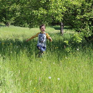 Die Schnitzeljagd der Jungschar auf dem Freinberg