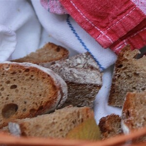 Auf den Spuren der Hl. Elisabeth