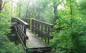 Brücke im Wald. © Grafixar/morguefile.com