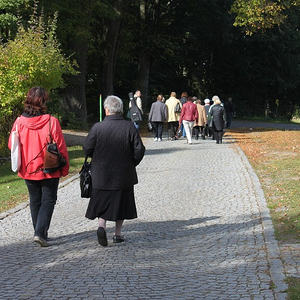 Pfarr-Wallfahrt Maria Trost