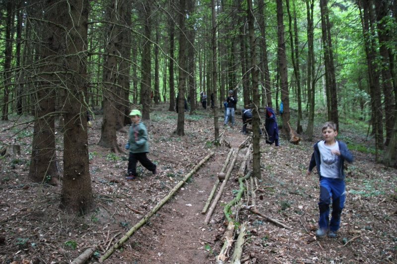 Wir bauen eine Waldkugelbahn / KMB / Hannes Hofer Kugelbahnbau