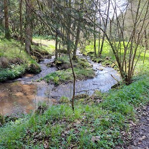 Fußwallfahrt nach Maria Trost, Pfarre Sarleinsbach