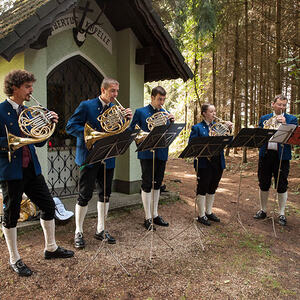 1. Schallerbacher Musiroas