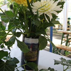 Pfarrfest 2015, Pfarre Neumarkt im Mühlkreis