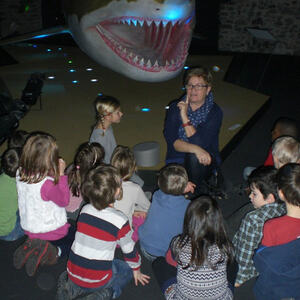 Besuch im Schlossmuseum