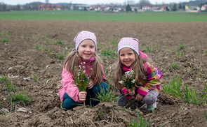 Charlotte und Marie freuen sich über die Palmbuschen, die sie in das Feld stecken.