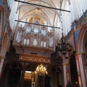 Nikolaikirche Buchholz-Orgel