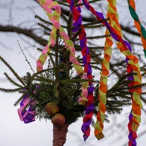 Palmprozession und Heilige Messe