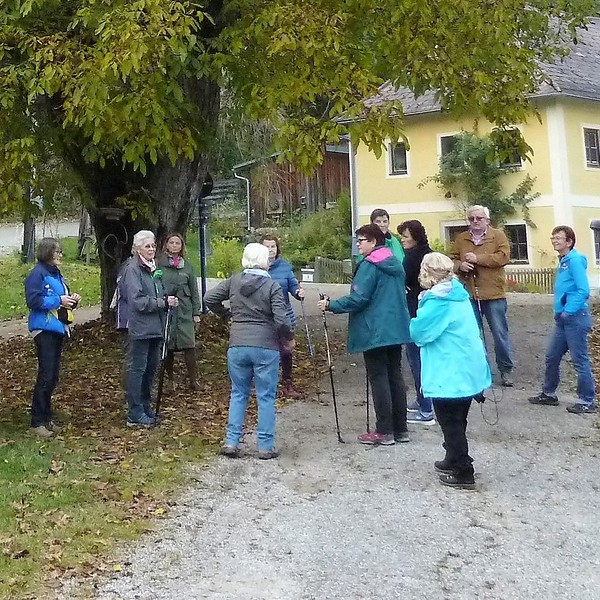 Katholische Frauenbewegung