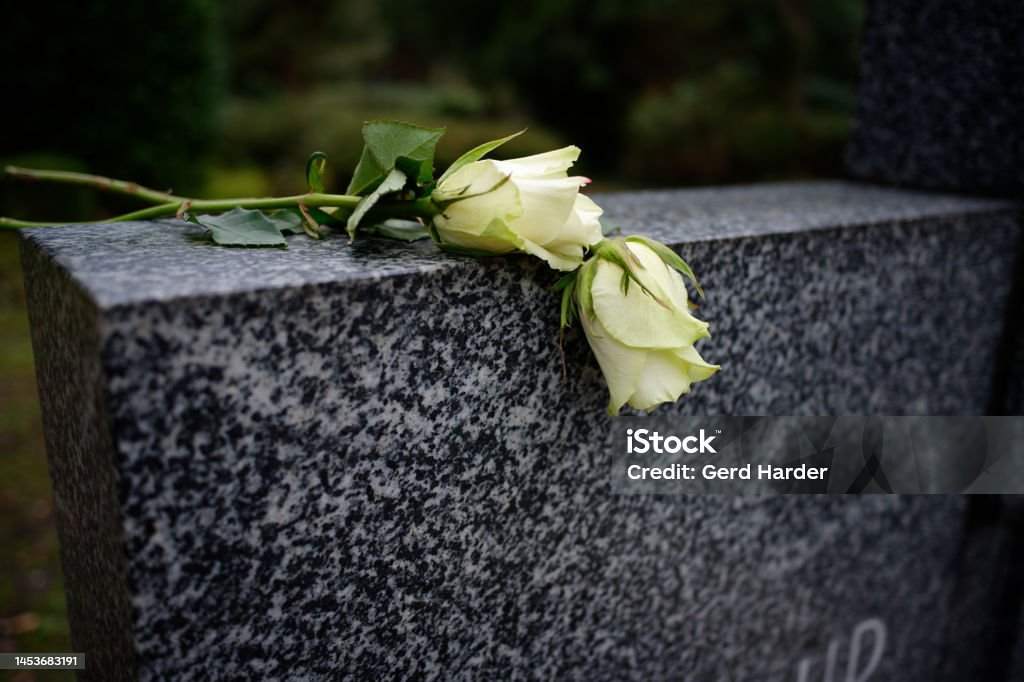 Marmorgrabstein mit weißer Rose
