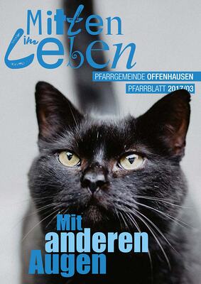 Pfarrblatt - 2017.03