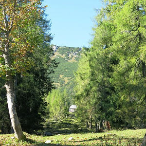 Bergandacht Dümlerhütte