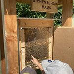 Bei der Hausrallye am ersten Tag entdeckten die Kinder die 'Königin des Hauses'