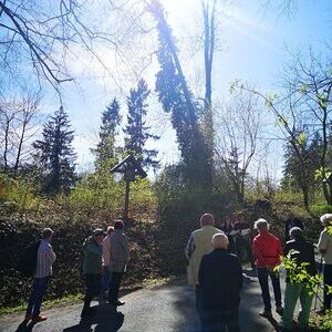 Kreuzwegandacht am Schiltenberg