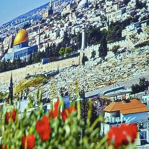 Israelreise der anderen Art