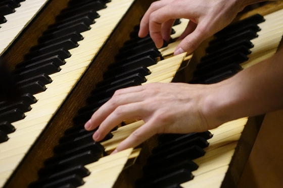 Gerhard Raab an der Rudigierorgel