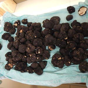 vom 29. April bis 5. Mai 2018