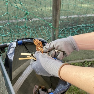 Rein in den Müllsack!