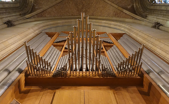 Rudigierorgel im Mariendom