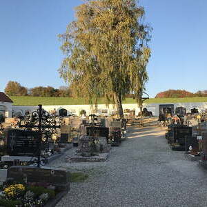 Einzel-, Doppel-, Wand- und Kindergräber