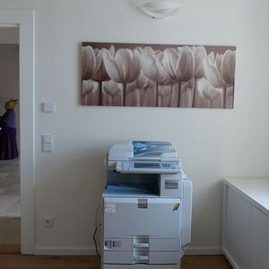 Pfarrhoferöffnung 2013