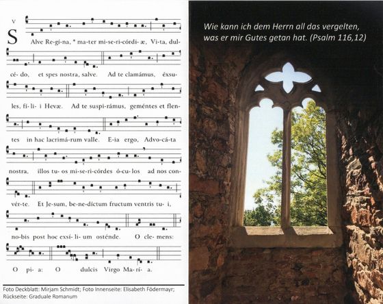 Sterbebild Dr. Hilmar Krenn