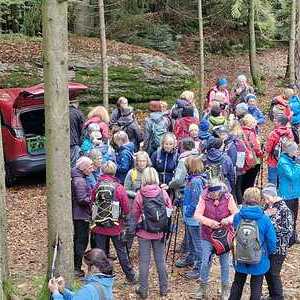 Frauenpilgertag 2025: Gemeinsam gehen - Gemeisam glauben