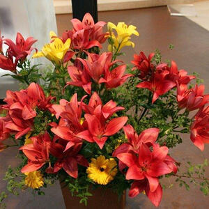 Christian Mayr in unserer Pfarre St. Konrad