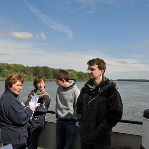 Firmprojekt Hochbeet