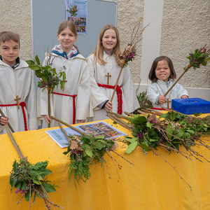 Palmsonntag Pfarre Kirchdorf an der Krems