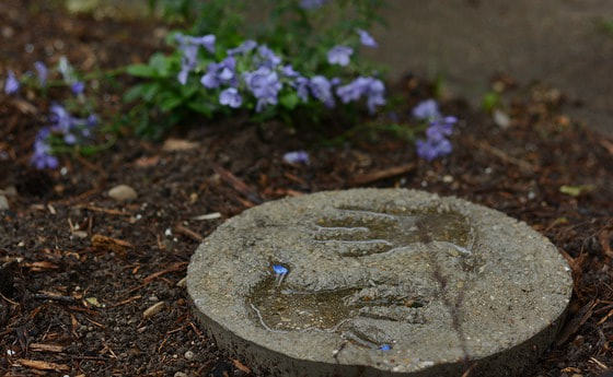 Familienmesse zum Ferienbeginn