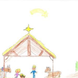 Sebastian Waltenberger, 11, NMS Sierning