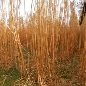 Meditative Pilgerwanderung
