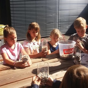 Kleine Forscher*innen in der Bibliothek Pregarten