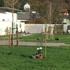 Urnenhain Friedhof Ternberg