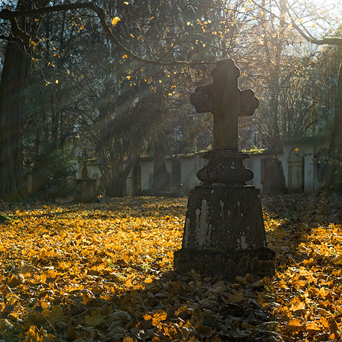 Friedhof Herbst