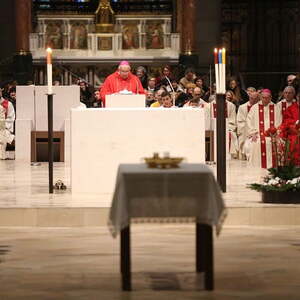 85. Geburtstag, Linzer Mariendom (26.1.2017)