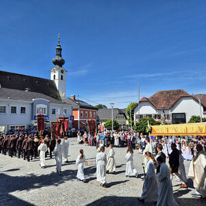 Auszug
