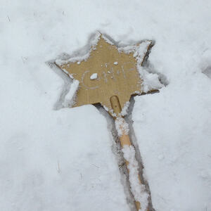 Sternsingeraktion 2017