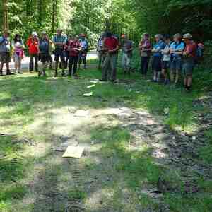 meditative Pilgerwanderung 28.4.18