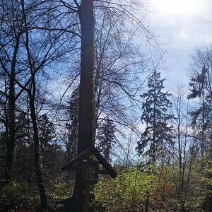 Kreuzwegandacht am Schiltenberg
