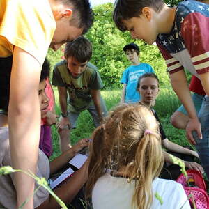 Die Schnitzeljagd der Jungschar auf dem Freinberg