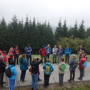 Pilgerwanderung 2019